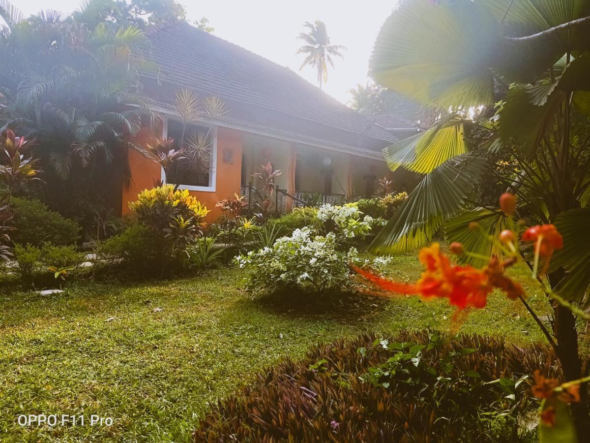 Country Side Inn Portuguese Guest House Cuelim المظهر الخارجي الصورة