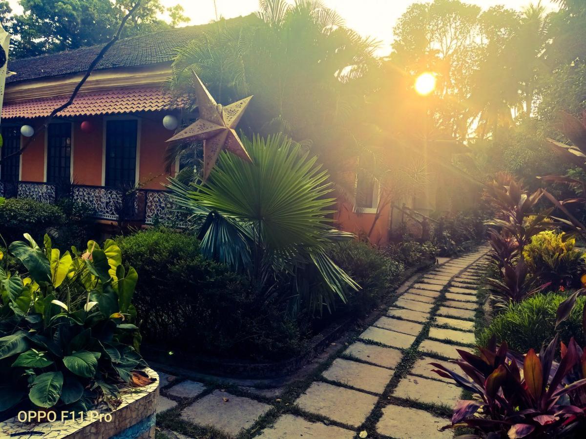 Country Side Inn Portuguese Guest House Cuelim المظهر الخارجي الصورة